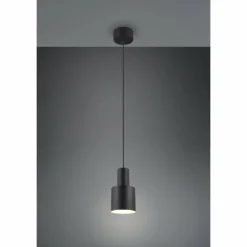 Luminaires Trio Suspensions|Agudo Suspension Noir, 1 lumière