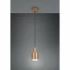 Luminaires Trio Suspensions|Agudo Suspension Brun, 1 lumière