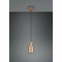 Luminaires Trio Suspensions|Agudo Suspension Brun, 1 lumière