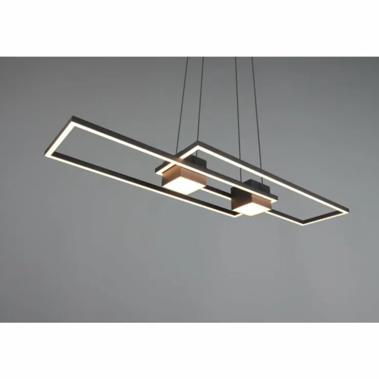 Luminaires Trio Éclairage Led|ALBANY Suspension LED Noir, 1 lumière, Télécommandes
