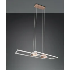 Luminaires Trio Éclairage Led|ALBANY Suspension LED Brun, 1 lumière, Télécommandes