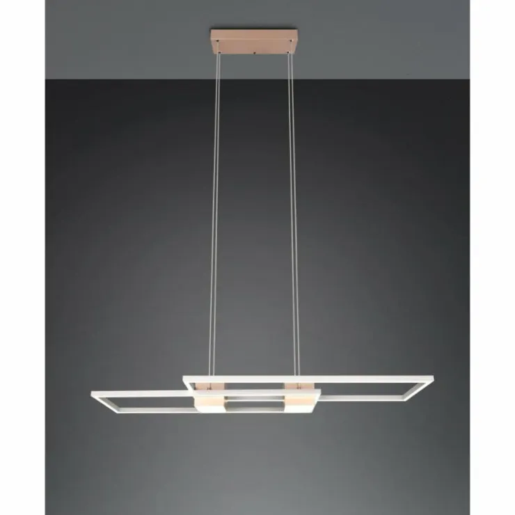 Luminaires Trio Éclairage Led|ALBANY Suspension LED Brun, 1 lumière, Télécommandes