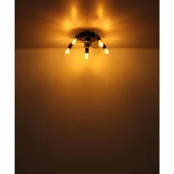 Alisha Ventilateur de plafond lumineux Luminaires Globo Lighting Noir, 5 lumières, Télécommandes