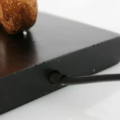Luminaires Steinhauer Lampes À Poser|Animaux Lampe à poser Noir, 1 lumière