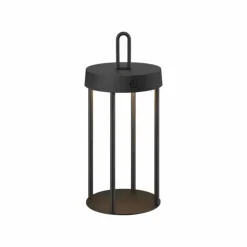 ANSELM Lampe à poser Luminaires Leuchten Direkt LED Noir, 1 lumière
