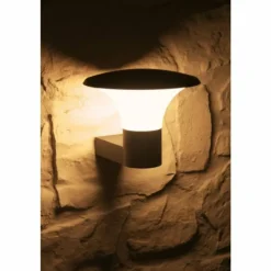 applique extérieure Trio KONGO Noir, 1 lumière