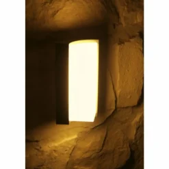 applique extérieure Trio SUEZ LED Noir, 1 lumière