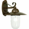 Applique murale d'extérieur Eglo MILTON Brun foncé, 1 lumière