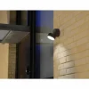 Applique murale d'extérieur Lutec Trumpet LED Anthracite, 1 lumière