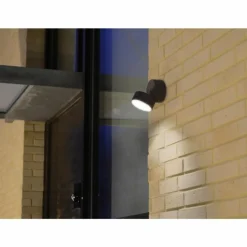Applique murale d'extérieur Lutec Trumpet LED Anthracite, 1 lumière