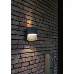Applique murale d'extérieur Lutec Lotus LED Anthracite, 1 lumière