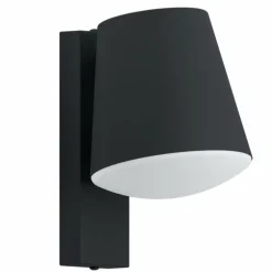 Applique murale d'extérieur Eglo CALDIERO Anthracite, 1 lumière