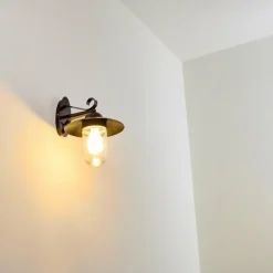 Applique murale d'extérieur Maidiswil Brun foncé, 1 lumière