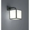 Applique murale d'extérieur Trio CUBANGO Anthracite, 1 lumière