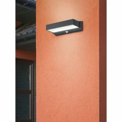Applique murale d'extérieur Trio CUANDO LED Anthracite, 1 lumière, Détecteur de mouvement