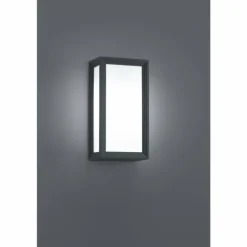 Applique murale d'extérieur Trio TIMOK Anthracite, 1 lumière