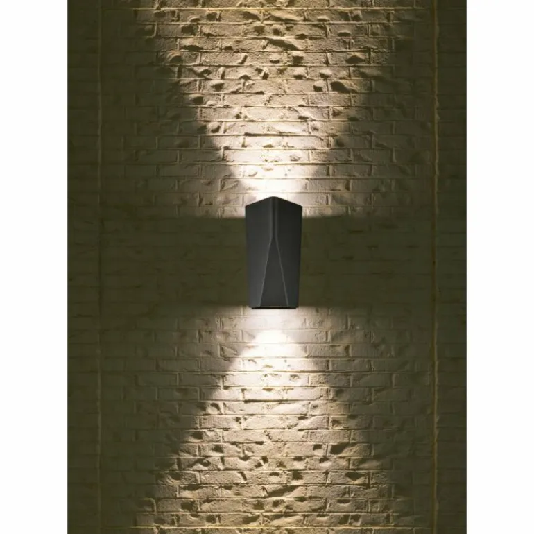 Applique murale d'extérieur Trio Leuchten TAY LED Anthracite, 2 lumières