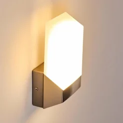 Applique murale d'extérieur Clear LED Nickel mat, 1 lumière