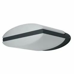 Applique murale d'extérieur LEDVANCE ENDURA Noir, 1 lumière