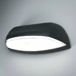 Applique murale d'extérieur LEDVANCE ENDURA Noir, 1 lumière