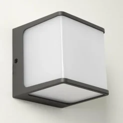 Applique murale d'extérieur Buckau LED Anthracite, Blanc, 1 lumière