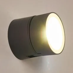 Applique murale d'extérieur Schelde LED Anthracite, 1 lumière