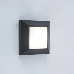 Applique murale d'extérieur LUTEC HELENA LED Anthracite, 1 lumière