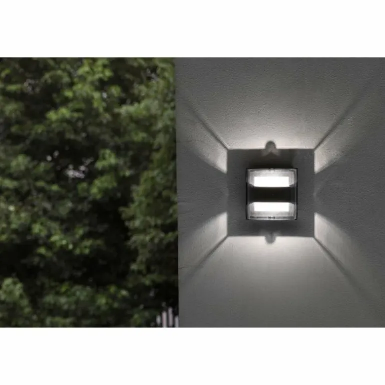 Applique murale d'extérieur Lutec DELTA Anthracite, 1 lumière