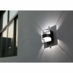 Applique murale d'extérieur Lutec DELTA Anthracite, 1 lumière