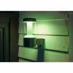 Applique murale d'extérieur LEDVANCE SMART+ Gris, 1 lumière, Changeur de couleurs
