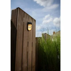 Applique murale d'extérieur Lutec Bullo LED Brun, Rouille, 1 lumière