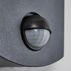 Applique murale d'extérieur Carinola LED Anthracite, 1 lumière, Détecteur de mouvement