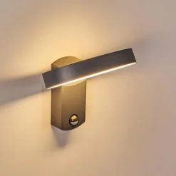 Applique murale d'extérieur Carinola LED Anthracite, 1 lumière, Détecteur de mouvement
