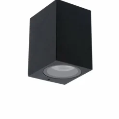 Applique murale d'extérieur Lucide ZARO Noir, 1 lumière