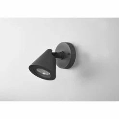 Applique murale d'extérieur Trio Kaveri Anthracite, 1 lumière