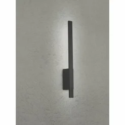 Applique murale d'extérieur Trio Tawa LED Anthracite, 1 lumière