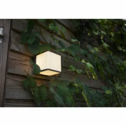 Applique murale d'extérieur Lutec Doblo LED Anthracite, 1 lumière