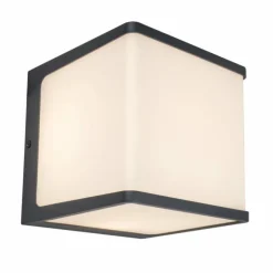 Applique murale d'extérieur Lutec Doblo LED Anthracite, 1 lumière