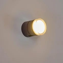 Applique murale d'extérieur Papagayos LED Anthracite, 1 lumière, Changeur de couleurs