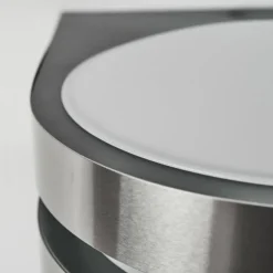 Applique murale d'extérieur Tordillos LED Chrome, 1 lumière