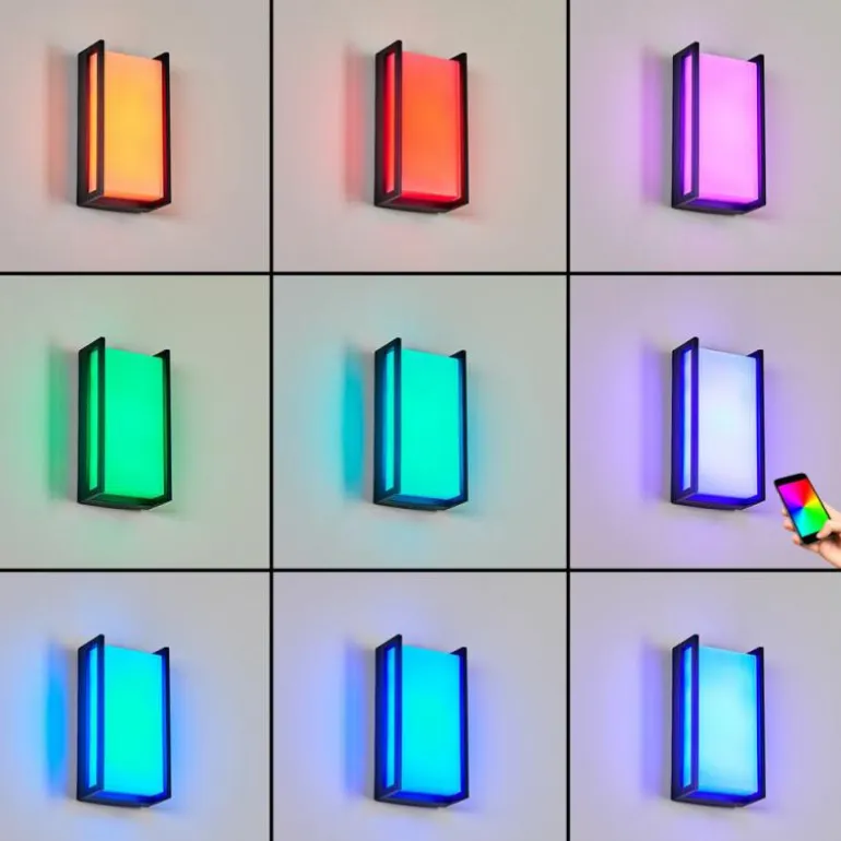 Applique murale d'extérieur Skove LED Anthracite, 1 lumière, Changeur de couleurs