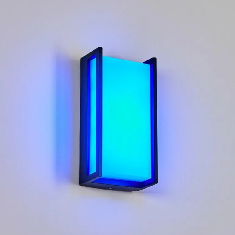 Applique murale d'extérieur Skove LED Anthracite, 1 lumière, Changeur de couleurs