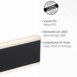 Applique murale d'extérieur Paul-Neuhaus ELSA LED Anthracite, 2 lumières