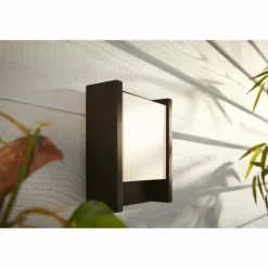Applique murale d'extérieur Philips Hue White Fuzo LED Noir, 1 lumière
