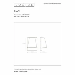 Applique murale d'extérieur Lucide LIAM Anthracite, 1 lumière