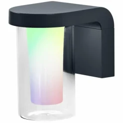 Applique murale d'extérieur LEDVANCE Smart+ Gris, 1 lumière