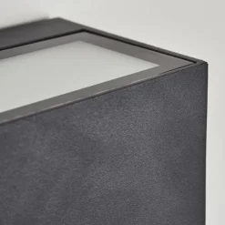 Applique murale d'extérieur Spidern LED Anthracite, 1 lumière, Changeur de couleurs
