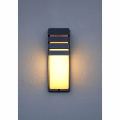 Applique murale d'extérieur Lutec CITY Anthracite, 1 lumière