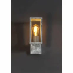 Applique murale d'extérieur Lutec KARO Zingué, 1 lumière