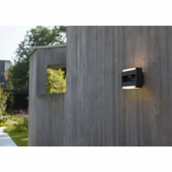 Applique murale d'extérieur Lutec CONROY LED Anthracite, 1 lumière